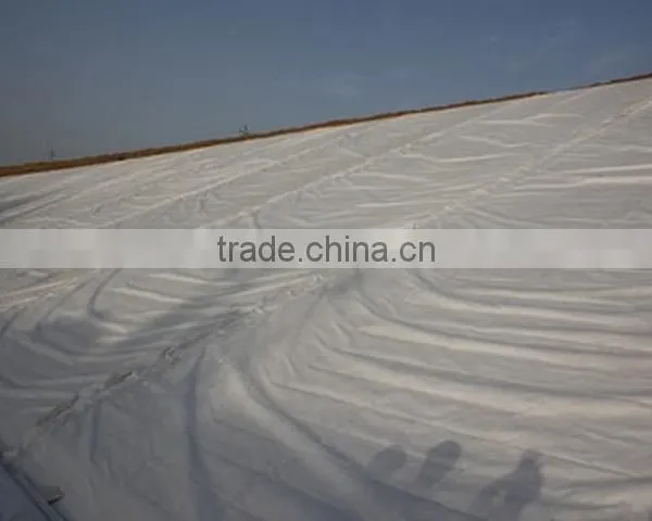 High Quality Continuous Filament Polyester Nonwoven Geotextile 300gsm