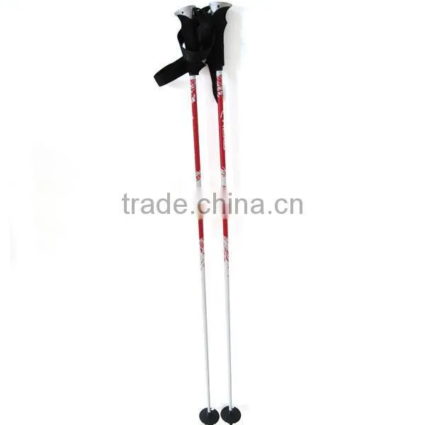 Carbon Ski Pole