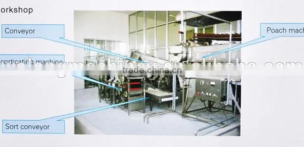 Peanut Frying Machine Line photo-2