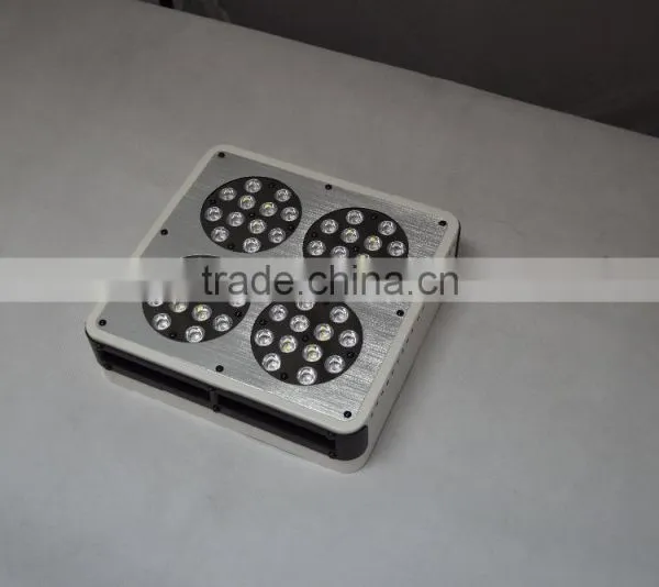 Wholesale Led Grow Lights photo-5