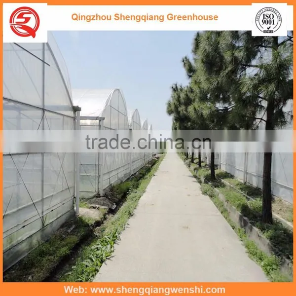 China Supplier Multi-span 7.2m Plastic PE Film Agriculture Greenhouse for Sale photo-6