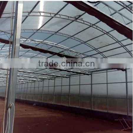 High Quality Commercial Used Plastic Sheet Covering Greenhouse for Sale
