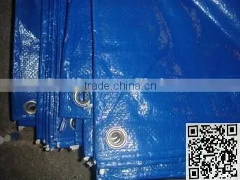 Durable Coated PE Tarpaulin, PE Tarpaulin Roll photo-4