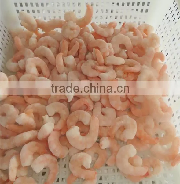 Scampi photo-2