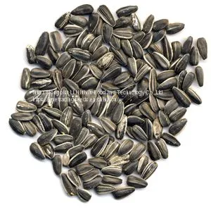 Chinese Sunflower Seeds With Best Price