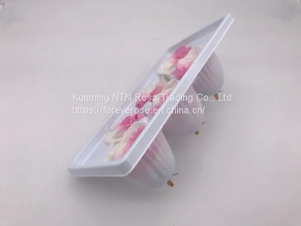 Preserved Rose Preserved Flowers Dried Flowers Birthday Valentine Party Wedding photo-2