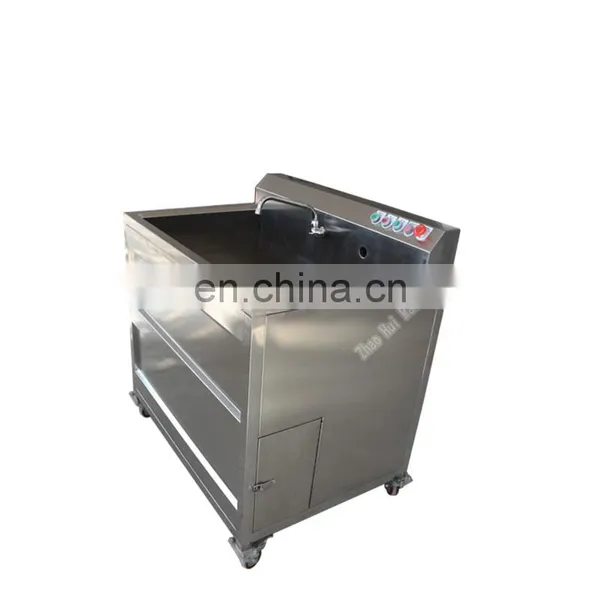 Automatic Ozone Bubble Mushroom Vegetable Washer Orange Grape Strawberry Fruit Washing Machines photo-6