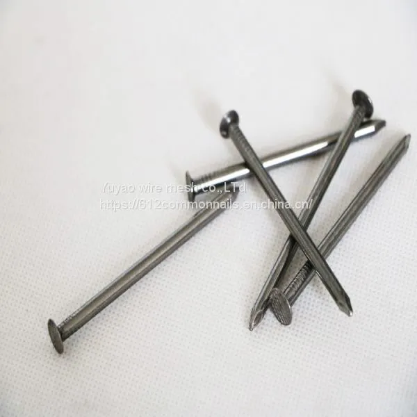 Cheap Price Polished Common Nails photo-4