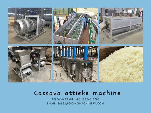 New Condition Cassava Attieke Processing Units Cassava Processing Machine Boyeur-Epucheur for Attieke Production for Sale photo-2
