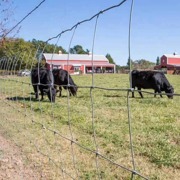 Best Seller Farm Steel Wire Mesh Fence 4ft 5ft 6ft 8ft Height Pasture Fence Animal Fence Wire photo-5