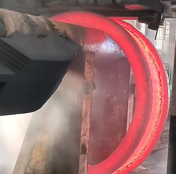 Double-Rim Ring Forgings | Forged Components | Factory Customization photo-4