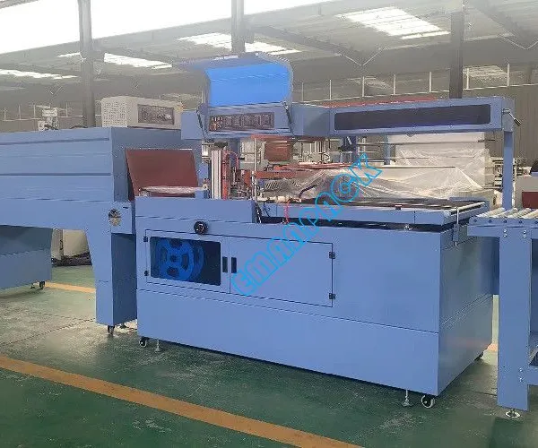 Economical Heat Shrink Wrapping Machine for Sealed Packaging photo-2