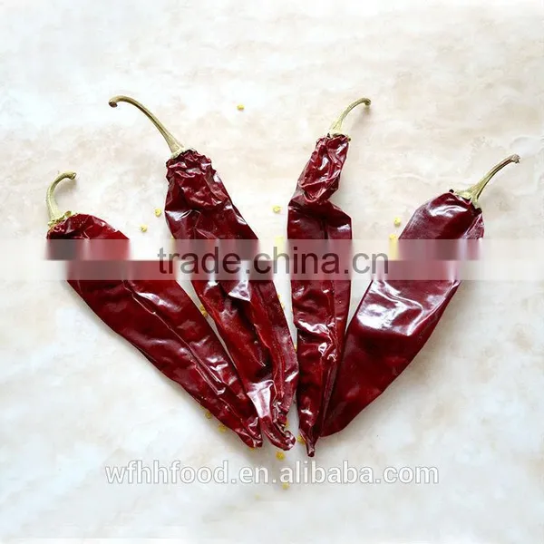 2016 New Corp Red Chili Sauce photo-3