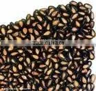New Crop Black Dry Wate Rmelon Seeds for Sale photo-2
