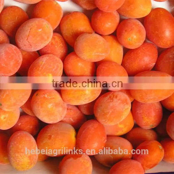 Frozen Style Fresh Chinese Cherry Tomato