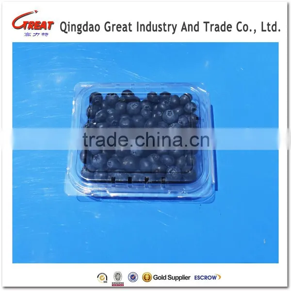 Small Square Clear Plastic Blueberry Container Clamshell photo-2