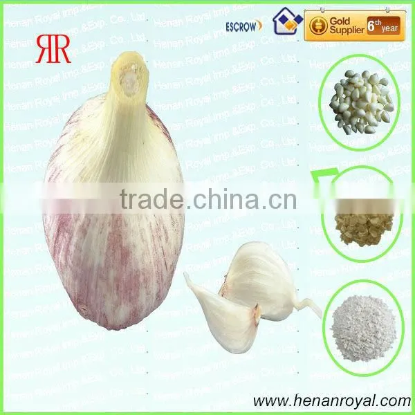 Mesh Bags or Carton Package of Fresh Garlic