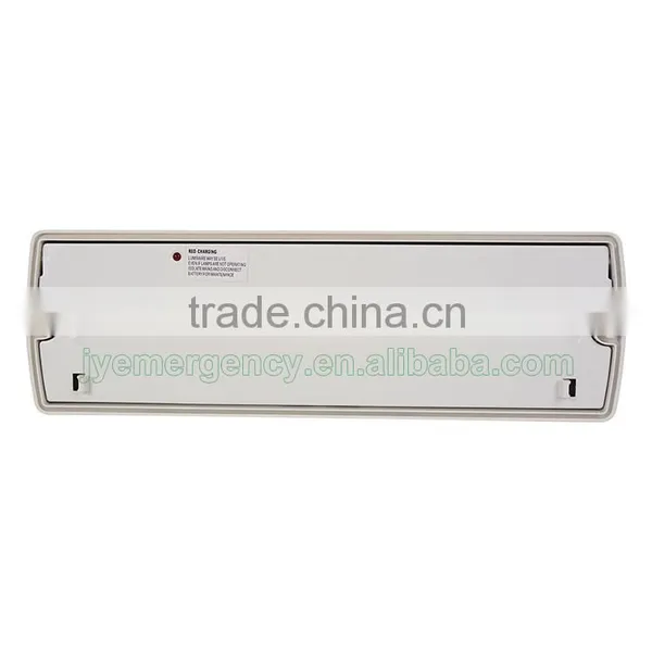 Low Price 220V-240V Symbol Emergency Sign photo-3