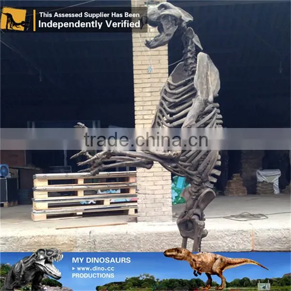 MY Dino-C077 Life Size Dog Skeleton for Decoration photo-6