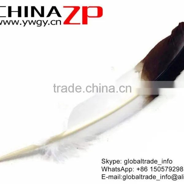 CHINAZP Wholesale Cheap Brown Half Dipped Bicolourable Turkey Feathers for Fashion Decorations photo-2