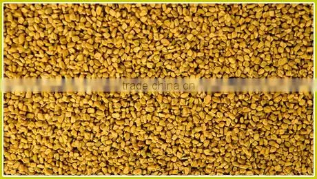 Fenugreek Seeds
