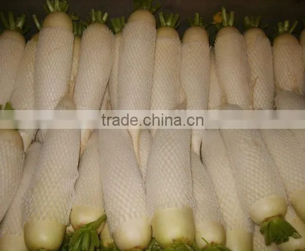 New Crop Fresh White Raddish From China photo-2