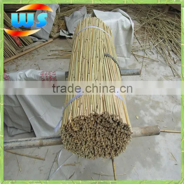 Bamboo Products/First Grade Netherlands Dyed Bamboo Canes 75cm 8--10mm photo-2