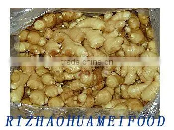 Chinese Fresh Ginger photo-2