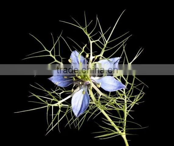 Natural Bath Soap Handmade Antibacterial Skin Care Soap photo-2