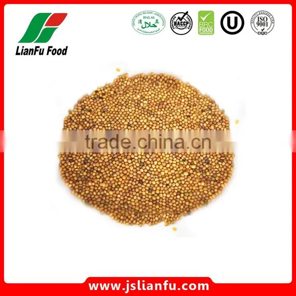 Dried Mustard Yellow Seeds