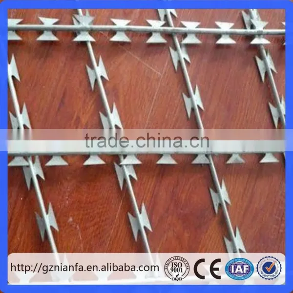 Diamond Hole/Square Hole Galvanized and Pvc Concertina Razor Wire Fence (Guangzhou Factory) photo-6
