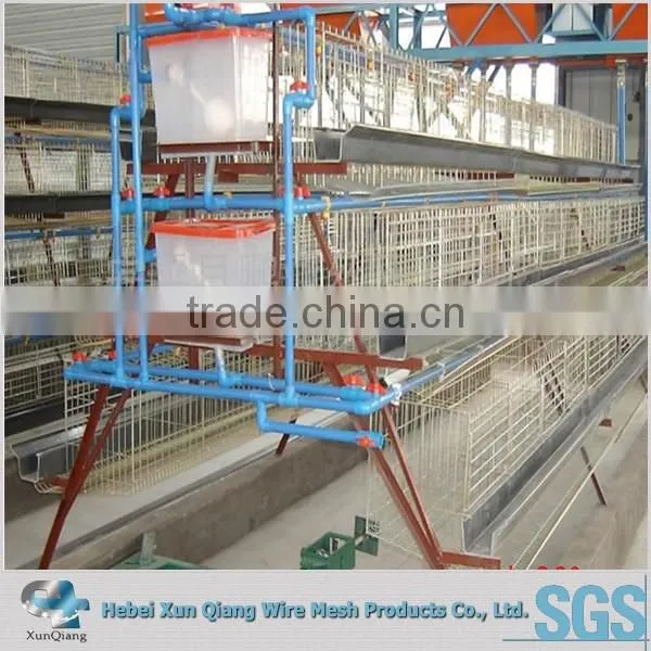 128birds Design Layer Chicken Cages for Kenya Hen Farm photo-3