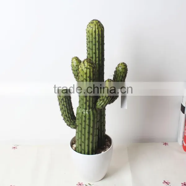 SJ1801212 Artificial Small Succulent Bonsai Plant/mini Cheap Plastic Plant photo-6