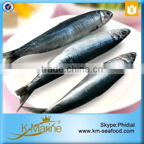 Seafrozen Sardines Seafood Fish photo-3