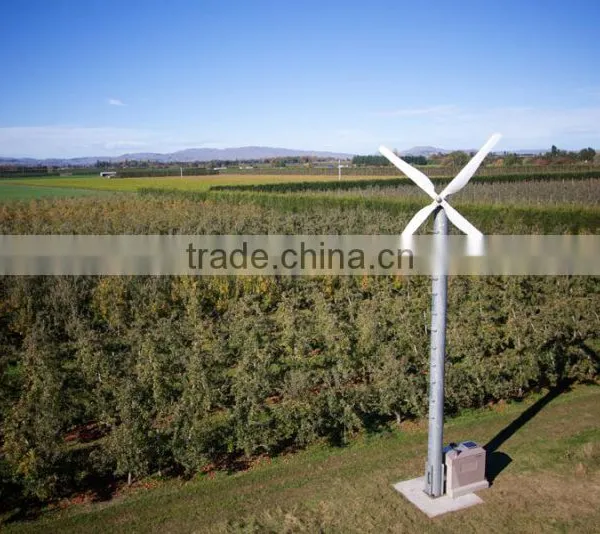 Orchard Fan photo-4