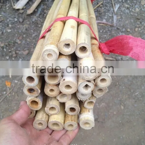 24~26MM 240CM Tonkin Bamboo Stakes For Orchard photo-4
