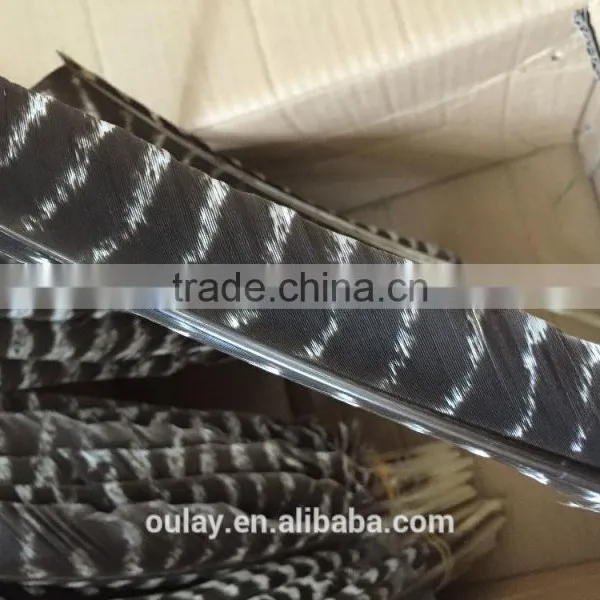 Full Size Colorful Treated Turkey Feathers Striped Feathers photo-5