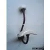 Iron Hooks