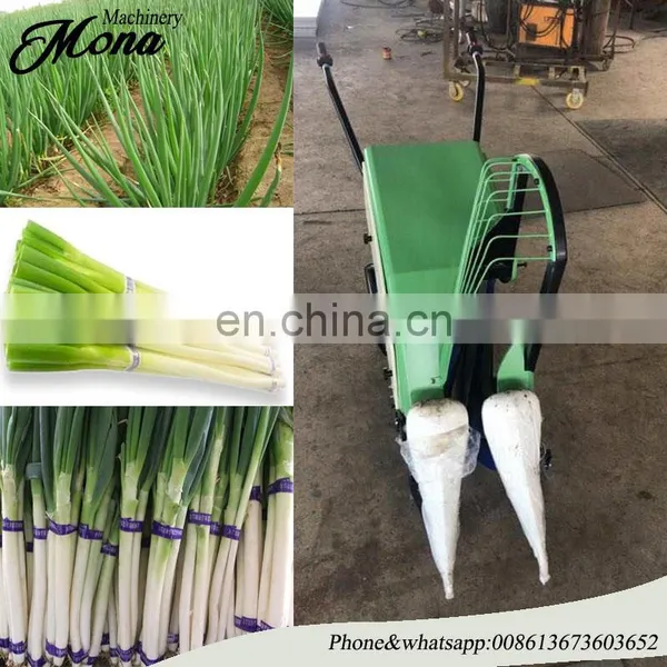 Updated Super Quality Leek Processing Machine for Sale photo-6