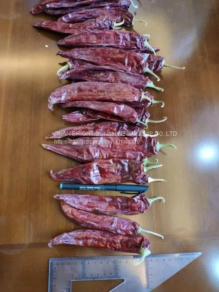 Sweet Paprika Pods in 25LB Bag for Mexico and USA