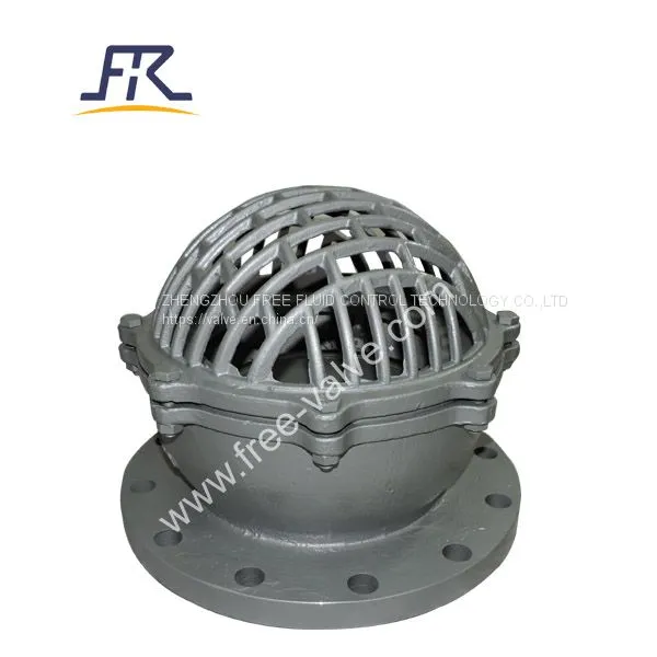 Stainless Steel Water Pump Pn10 Foot Valve photo-2