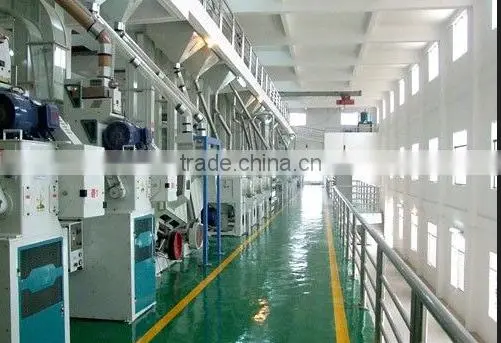 China Widely Used 6FSMCT Series of Millet and Sorghum Processing Line photo-2