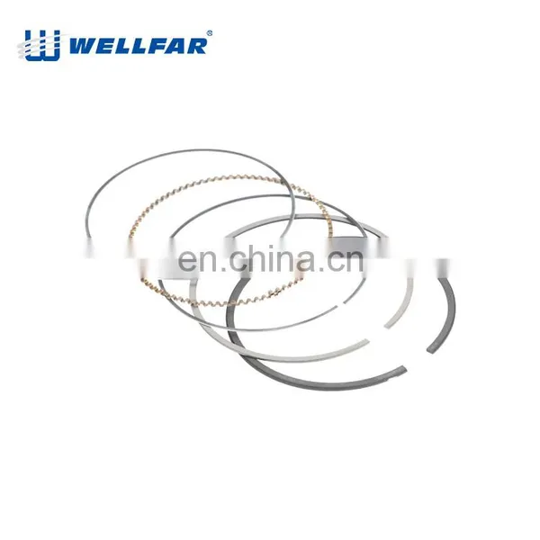 Wellfar OPEL Corsa 1.6L 8V 81mm Piston Rings For OPEL Corsa Engine photo-5