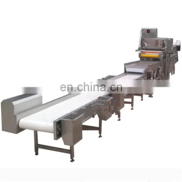 Pumpkin Flour Process Machine