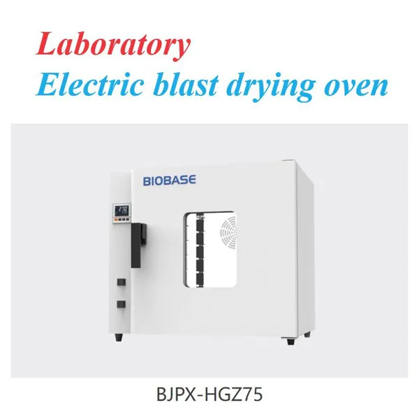 Laboratory Electric Blast Drying Oven photo-4