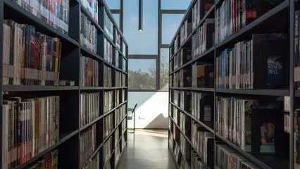 Library Bookshelf photo-2
