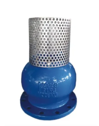 ANSI Certified Vertical Foot Valve Cast Iron/Stainless/Plastic Optional Bottom Valve One Way Check Valve Custom ODM Available photo-5