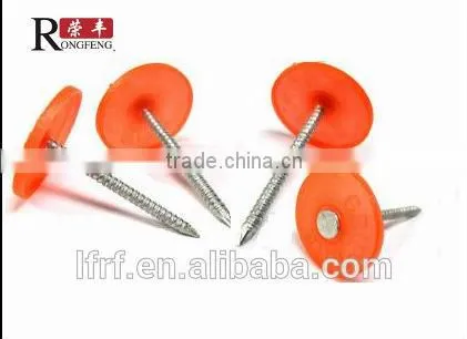 New Concrete Insulation Nails/ Plastic Cap Nail Manufacture photo-2