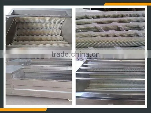 Leader New Design Yam Washing Peeling Machine Website:leaderservice005 photo-3
