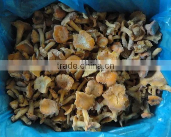 Frozen Style Chinese Chantarelle Mushroom photo-3